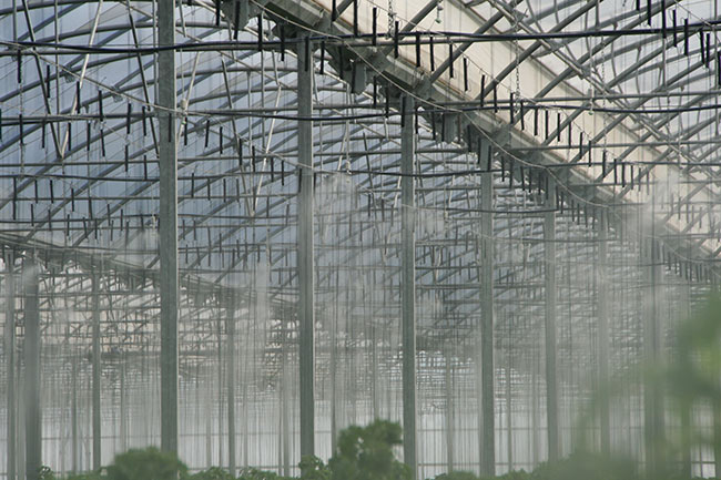 Ambiente de humedad Ambiente de humedad