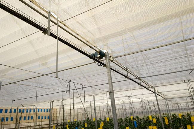 Pantallas de sombreado Pantallas de sombreado