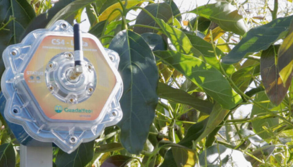 Ventajas del concentrador Lora