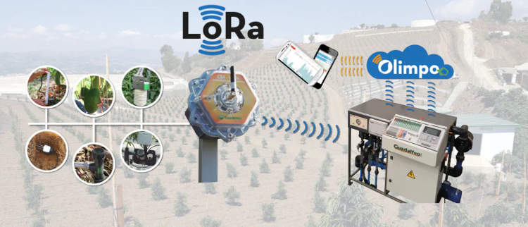 Concentrador LoRa y su funcionamiento junto a Olimpo
