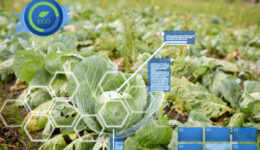 Revolución de los análisis de calidad agroalimentaria